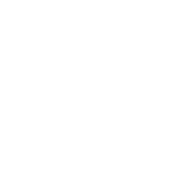 Phoenix Distillery Logo